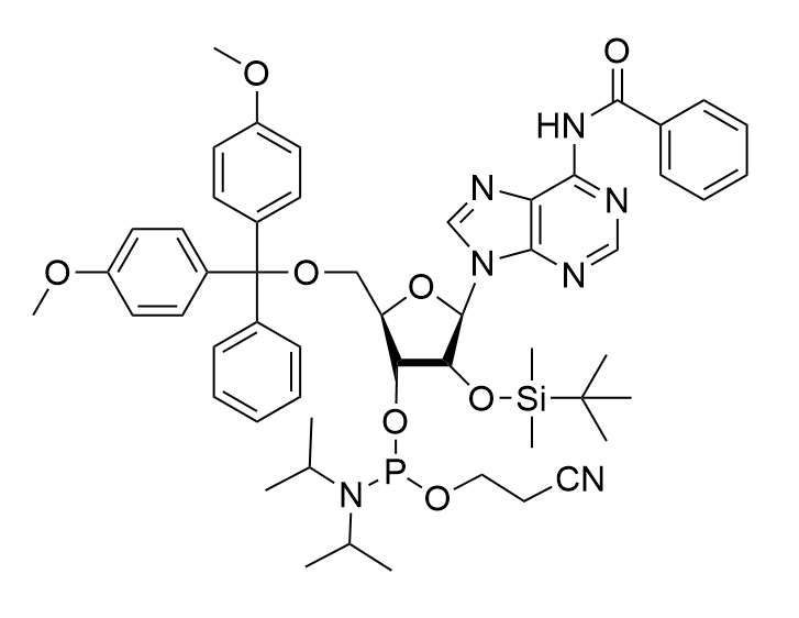 5'-DMT-2'-TBDMS-N6-Bz-rA Phosphoramidite